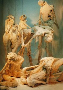 scl (60) - コピー     